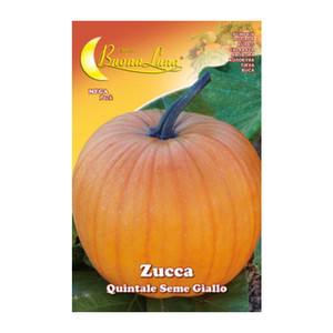 Semi Orto Zucca Quintale - Product Image 1