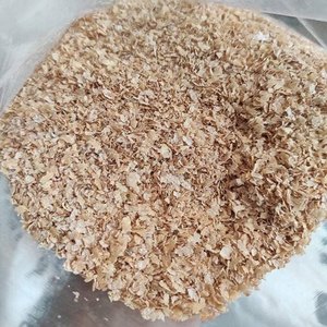 Salvado de trigo de grano Dorado: alimento rico en fibra de primera calidad para ganado y aves de corral - Product Image 4