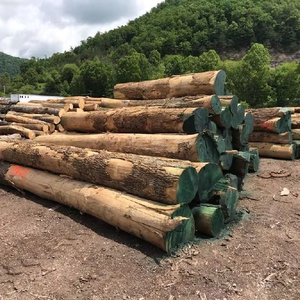 Bois de frêne pour meubles de bricolage Bûches de frêne fraîchement coupées - Product Image 1