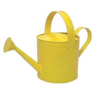 Caña de riego moderna para jardín, bote de agua decorativo de color amarillo, diseño moderno, rociador de metal - Product Image 1