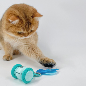 ELEVE Juguete Eléctrico Interactivo Inteligente y Duradero de Madera para Gatos, con Movimiento Automático, Recargable por USB, para Gatos de Interior - Product Image 5