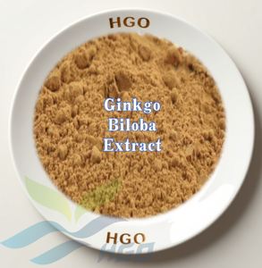 Suministro directo de fábrica HGO de extracto natural puro de Ginkgo Biloba (grado de alimentos saludables) Especificación 10:1 (extracto de proporción) - Product Image 1