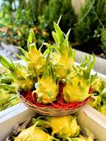 FRUIT DE DRAGON JAUNE DE HAUTE QUALITÉ/BON MARCHÉ