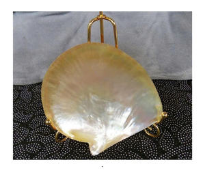 Cuillère et plat en nacre artisanale, élégant plat pour le rangement du savon, plat en nacre pour une table de qualité supérieure - Product Image 4