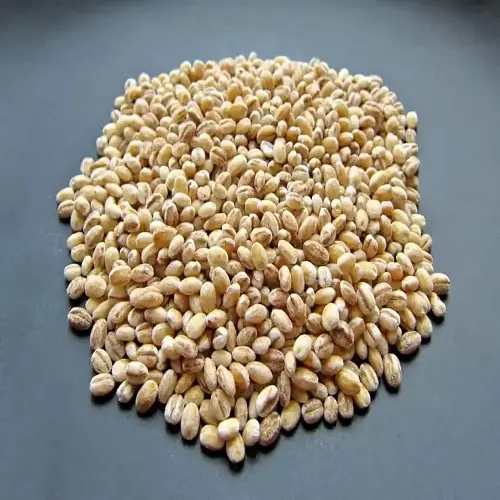 Vente en gros de graines de sésame naturelles crues graines de sésame décortiquées blanches pures