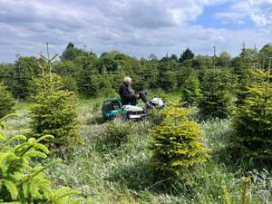 Tondeuse à gazon autotractée sans fil Orec RM982F 4x4 28V 4 temps avec bac de ramassage pour usage domestique et industriel - Product Image 6