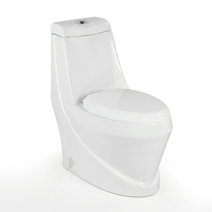 Inodoro Contemporáneo de Una Pieza, Alargado, con Descarga por Gravedad, Montado en el Suelo, de Porcelana, Ecológico, Fácil de Limpiar, con Sifón en P, Garantía de 5 Años - Product Image 1