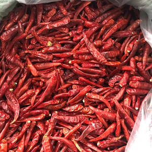 Alta calidad al mejor precio-Polvo de chile rojo seco/Chile de Vietnam - Product Image 1