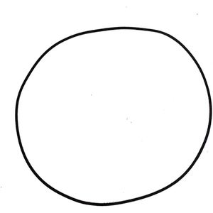 Fabriqué en usine P2930467 JOINT 0.139 THK X 9.984 convient pour Case 580M 580L Pelle Tracteur Moteur Train Pièces De Rechange - Product Image 1