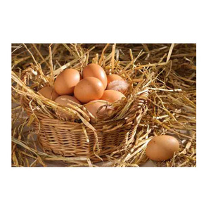 Huevos de mesa de pollo de cáscara marrón y Blanca fresca de la mejor calidad directamente de la granja a la Mesa - Product Image 4