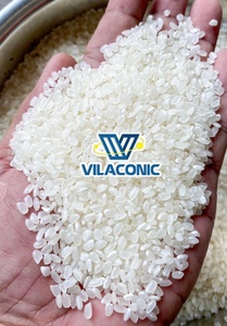 Arroz Japonica Calrose Seco Premium |   Variedad de Sushi Blanco de Textura Dura y Grano Medio |   Suministro de Bolsas Personalizadas al por Mayor - Product Image 4