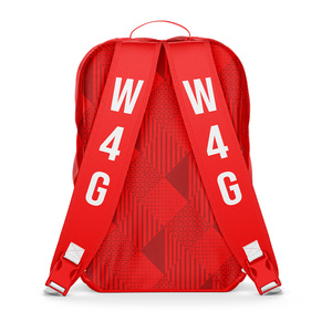 Sac à dos de sport léger et imperméable en nylon avec fermeture éclair, motif personnalisé, idéal pour la course à pied et le cyclisme en extérieur, doublure en polyester 40L - Product Image 5