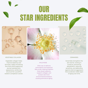 FABRIQUÉ EN FRANCE ODM OEM Formulation Personnalisée Sérum Huile Visage Anti-Âge en Gros Formule Naturelle Sûre et Propre Qualité Assurée - Product Image 3