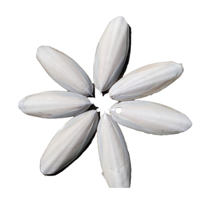 Os de seiche sec pour animaux de compagnie Reptile Ermite 100% os de seiche naturel pour perroquets Vente en gros - Product Image 1