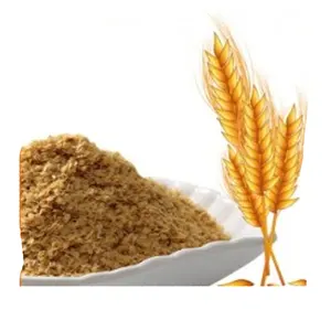 Superlative Quality Wholesale Selling Halal Certificate Wheatgerm Extract for Genuine Bulk Buyers