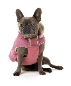 Sudaderas con capucha con logotipo personalizado para perros Abrigos y chaquetas transpirables de alta calidad de último estilo Ropa premium a la venta - Product Image 6