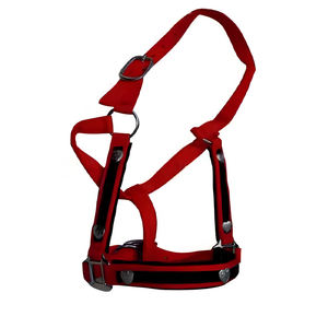 Brida inglesa de nailon artesanal de primera calidad, accesorios de entrenamiento occidentales cómodos y elegantes, cabestros diarios acolchados suaves ajustables - Product Image 2