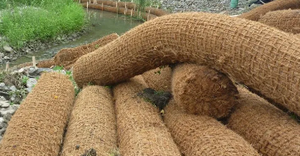 Proveedor de troncos de fibra de coco de Vietnam 100% Fibras naturales de coco - Product Image 3