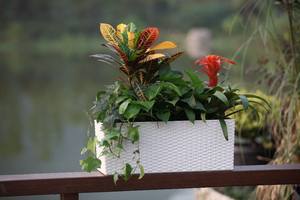 Maceta Rectangular <span class=keywords><strong>de</strong></span> Plástico para Plantas Artificiales, Diseño <span class=keywords><strong>de</strong></span> Pintura Floral para Jardín, Hogar y Exteriores, Ratán Sintético - Product Image 4