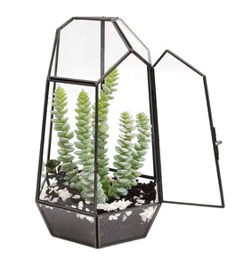Metal & <b>Clear</b> Glass Tabletop Terrarium With Customized Finishing Hexagonal Shape Excellent Quality for Decoration . - Product Image 6