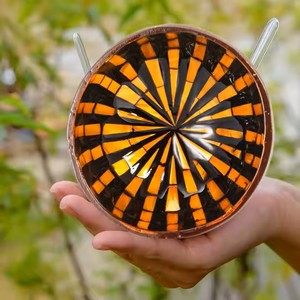 เครื่องครัวต้องมีสินค้าราคาถูกไม้ม๊อบมะพร้าวที่สวยงามสำหรับชามผลไม้ในครัวขายส่งจากเวียดนาม - Product Image 1