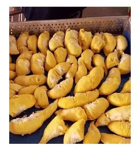 Замороженная фабрика по производству дуриана без косточек для фруктов, по конкурентоспособной цене, готовая к экспорту с вьетнамского производства 99GD