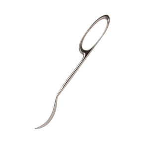 Haute Qualité 270mm Lane Os Levier Pleine Courbe Orthopédique Anneau Poignée 10mm Large Allemand En Acier Inoxydable Chirurgical Medic Instrument - Product Image 6