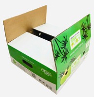 Revêtement UV 2 faces Matériaux recyclés Carton ondulé Sécurité alimentaire Vietnam Boîte en carton de noix de coco Agriculture