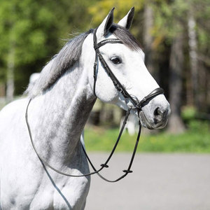 Calzones de brida Remont de cuero de calidad superior, brida ajustable para caballo inglés, banda para la nariz acolchada suave, banda ancha duradera - Product Image 3