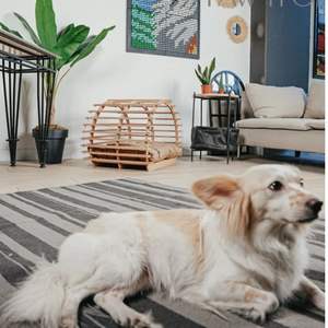 Nueva cama de madera de diseño moderno para mascotas elegante, elegante y cómoda para perros hecha a mano de alta calidad y precio barato de Vietnam - Product Image 4