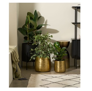 Maceta compacta de metal para mesa, ideal para suculentas, cactus, bonsái o pequeñas plantas decorativas de interior - Product Image 1