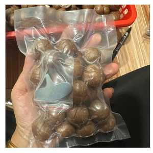 Noix de macadamia dorées rôties en coquille saveur naturelle de qualité supérieure emballage en vrac de qualité ferme collation saine à l'exportation - Product Image 2