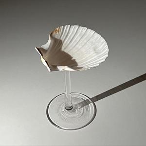 Coupe à vin Seashell pour les événements d'été, vaisselle sur le thème de l'océan pour les hôtels, les bars et l'exportation en vrac - Product Image 3