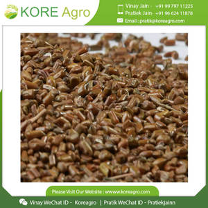 Wild Cassia Tora 100% Natural Pure & Clean Fabricante de semillas orgánicas de la mejor calidad - Product Image 2