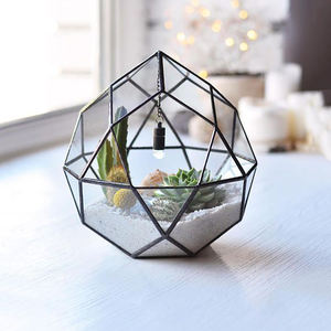 Terrario de cristal con marco de hierro geométrico al por mayor de fábrica de lujo único con acabado negro para mesa de exhibición de plantas suculentas - Product Image 1