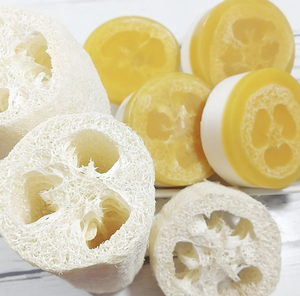 SAVON DE LOOFAH NATUREL PREMIUM POUR L'EXPORTATION DU VIETNAM - Product Image 5