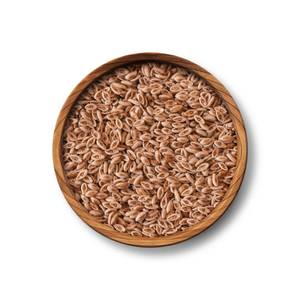 Semillas naturales de psilio en polvo, semillas de psilio de grado alimenticio al mejor precio - Product Image 2