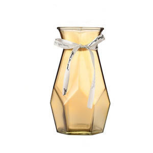 Arreglo floral transparente para el hogar, cultivado en agua, geométrico simple, florero de vidrio coloreado - Product Image 1