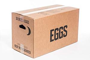 Huevos Frescos de Gallina para Incubar y de Mesa, Blancos y Marrones, Mezcla de Primera Calidad, Conservados y Congelados, Larga Vida Útil, Disponibles Ahora - Product Image 5