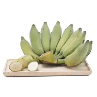 معالجة نظيفة الطازجة الخضراء cavendish الموز عالية الجودة أفضل شعبية فاكهة فيتنام رخيصة