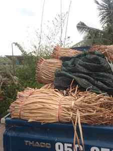 Cordes en fibres de jacinthe d'eau séchée Jacinthe d'eau sèche au VIET NAM - Product Image 4