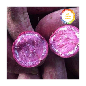 Patate douce vietnamienne surgelée IQF avec une excellente stabilité de congélation, emballage en vrac, utilisation polyvalente dans les produits alimentaires - Product Image 1