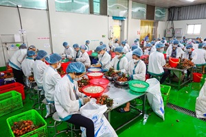 ลิ้นจี่กระป๋องใส่อาหารกระป๋องรสหวานจากดอกบัวสีน้ำเงินบัวเวียดนาม2025 - Product Image 3