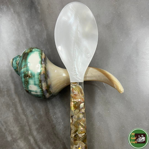 Handmade Decoration Seashell Natural Shell Material For Interior Decoration And Custom <b>Craft</b> <b>Supply</b> Vietnam - Product Image 5