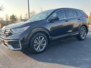 Honda CR-V EX-L d'occasion propre 2022 - Product Image 3