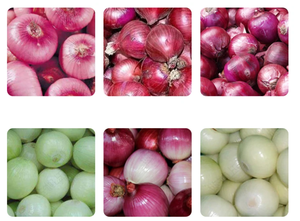 Máquina peladora de cebolla comercial eléctrica Industrial, rodamiento divisor de ajo equipado con 380V, pelado de frutas y verduras respetuoso con el agua - Product Image 6