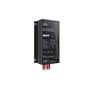 Kit Solaire Autonome Professionnel 24/7 pour Usage Domestique avec Contrôleur MPPT 24V, Starlink, PoE, CCTV, Système à 2 Panneaux 300W - Product Image 4