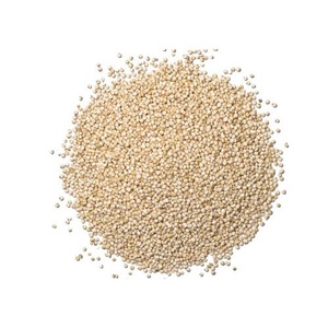 ควินัวขาวอบแห้งคุณภาพสูง ขายส่ง โปรตีนสูง อายุการเก็บรักษานาน - Product Image 1
