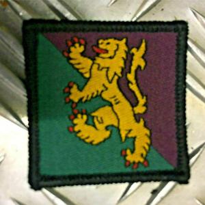 Parche de Reconocimiento Táctico TRF de la Brigada Logística Arm 102 del Ejército Británico - Product Image 3