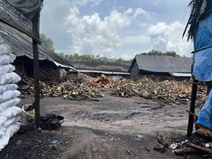 Poudre de charbon noir traditionnel vietnamien (bois dur) pour barbecue et shisha à fort potentiel de développement - Product Image 6